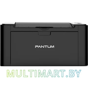 Принтер Pantum P2516